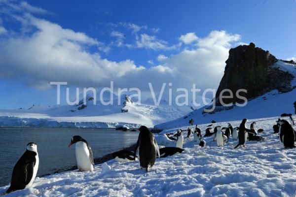 Viajes a la Antártida