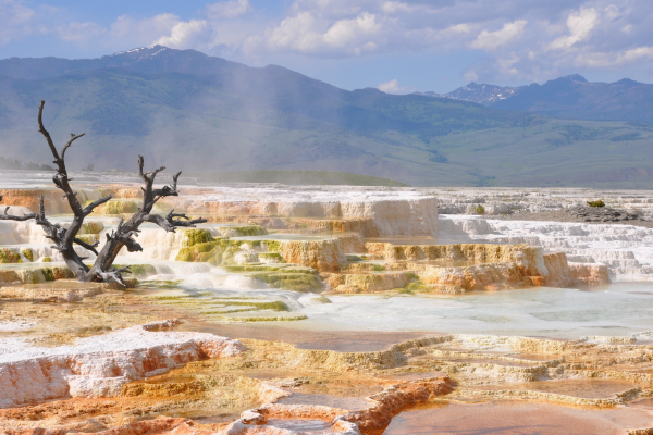 Terrazas de travertino en Yellowstone