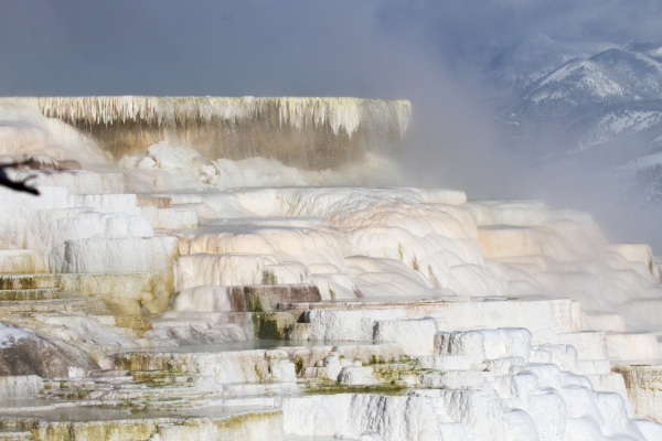 Mammoth Hot Springs - Yellowstone 