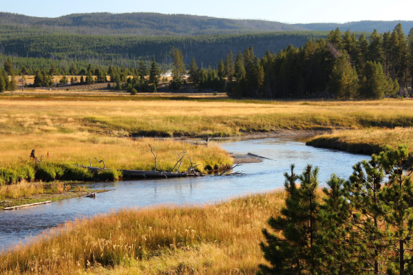 Viajar a Yellowstone en otoño