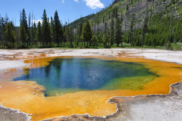 Manantial termal en Yellowstone