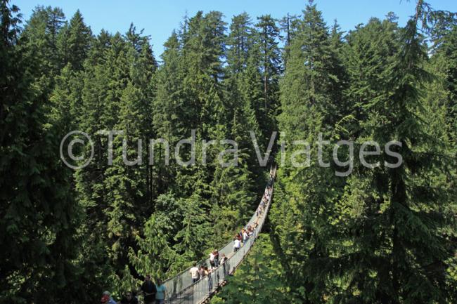 Canadà oest - Colúmbia Britànica - Vancouver