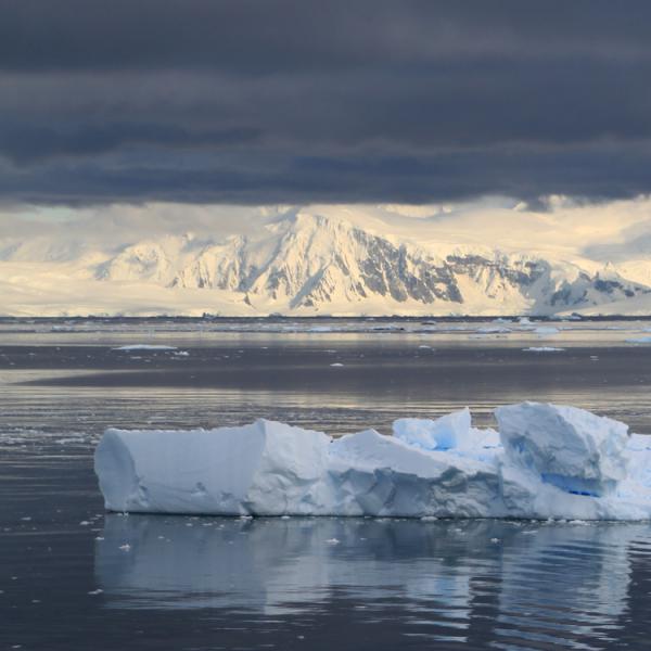 Viajes a la Antartida - Peninsula Antarctica - glaciar Puerto Neko
