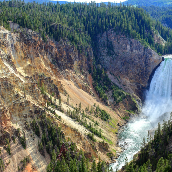 Yellowstone