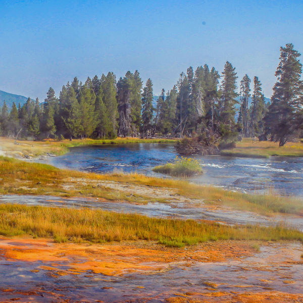 Yellowstone