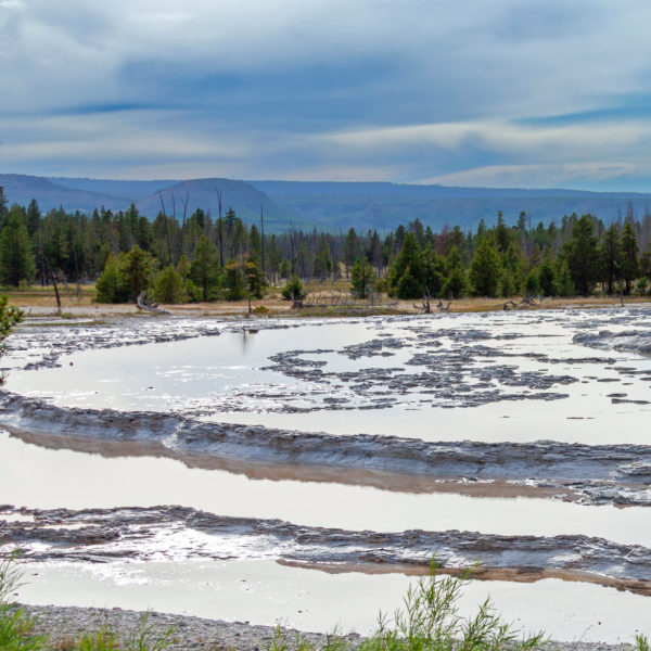 Yellowstone