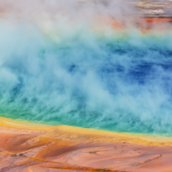 Yellowstone