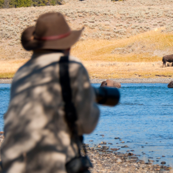 Yellowstone