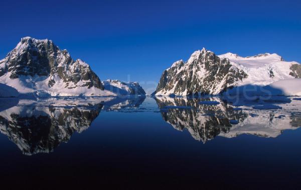 Viatge a l'Antàrtida: El millor moment per viatjar a l'Antàrtida